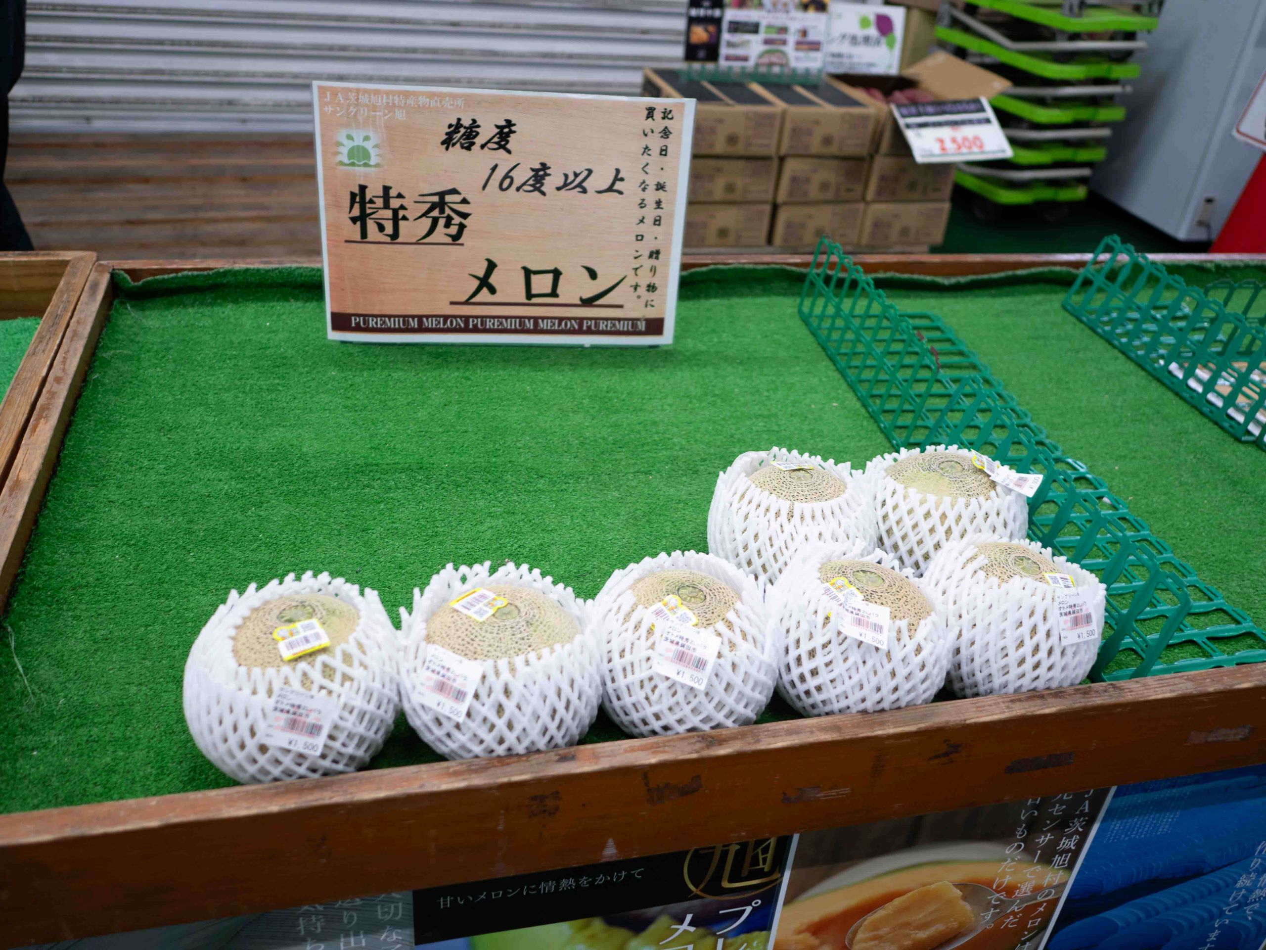 サングリーン旭 メロン　240406 (1 - 1) 1